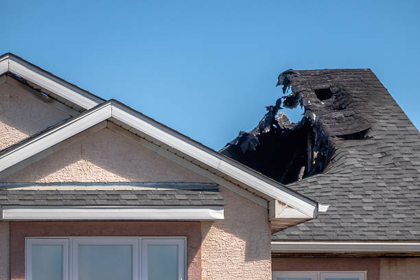 Top rated local Fire Board Up specialists in Richmond, MN